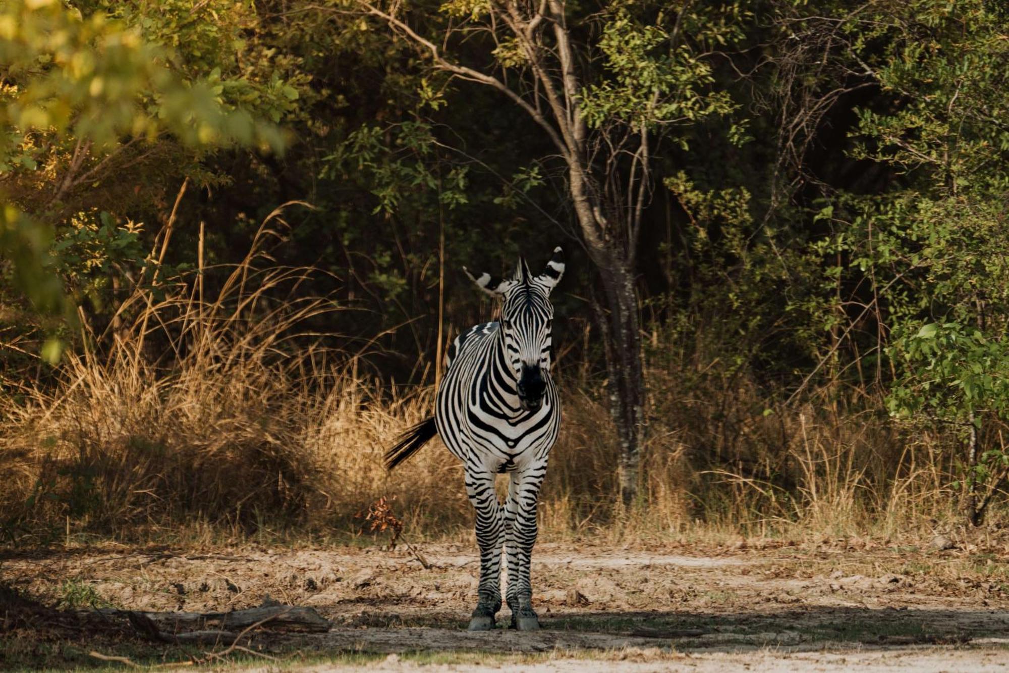 Radisson Blu Mosi-Oa-Tunya Livingstone Resort Eksteriør bilde